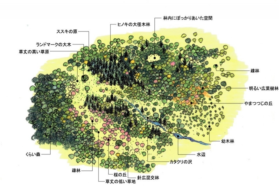 ツインリンクもてぎ森林活用計画