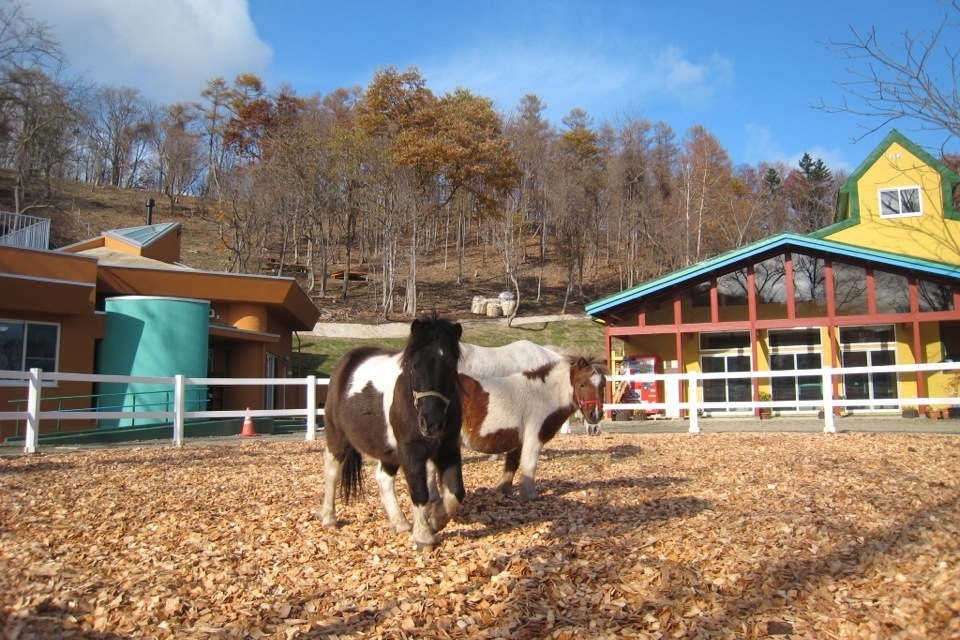 宮ノ丘幼稚園