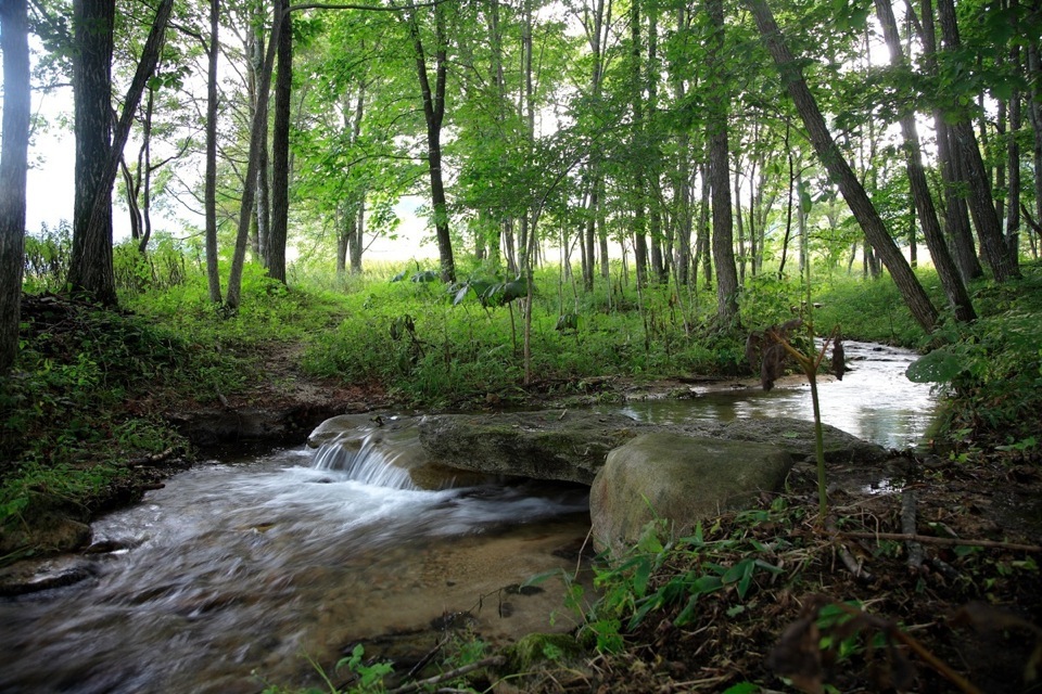 Tokachi Millennium Forest