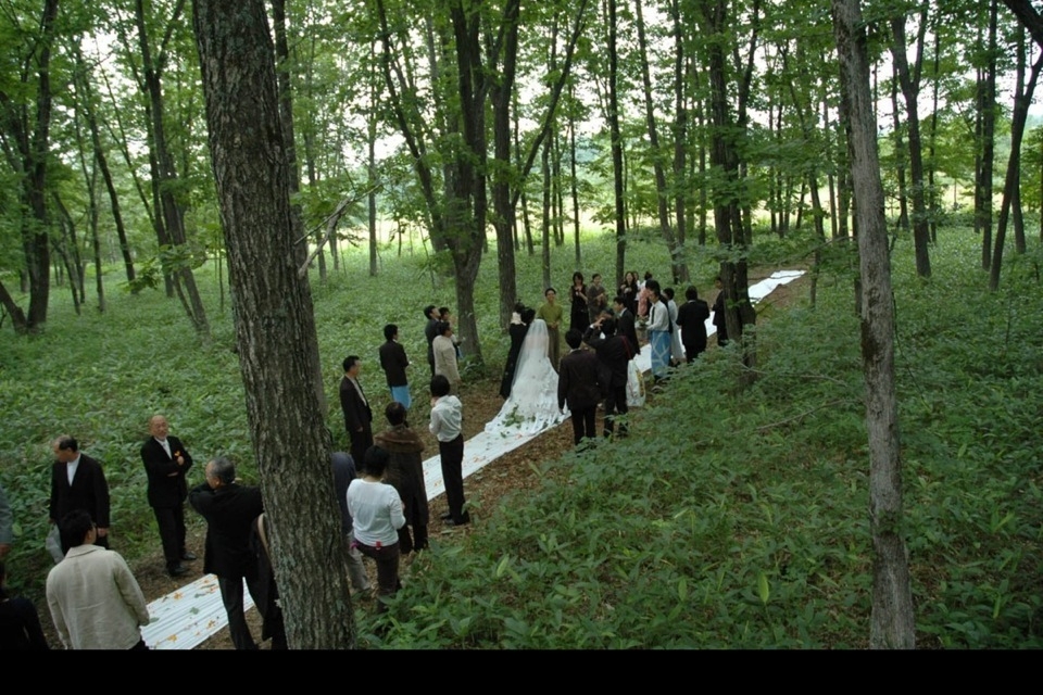 Tokachi Millennium Forest