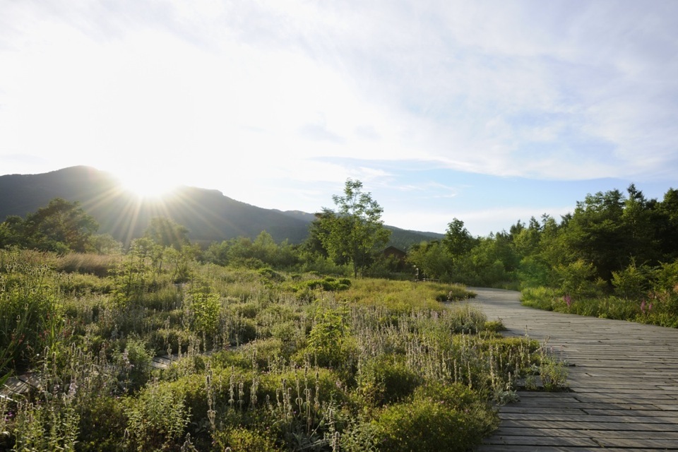 Tokachi Millennium Forest