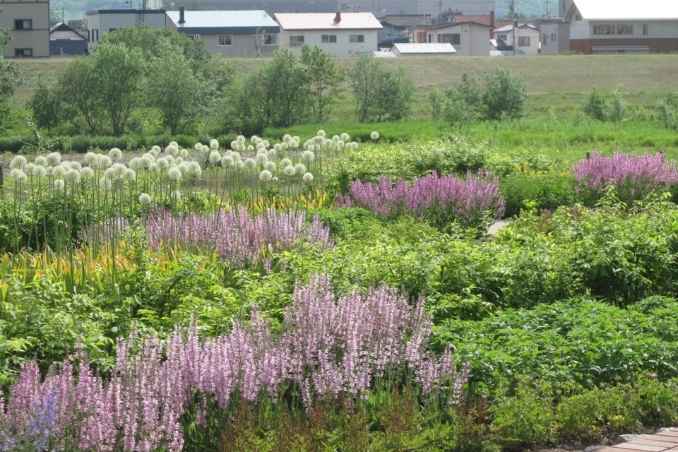 Asahikawa Kitasaito Garden