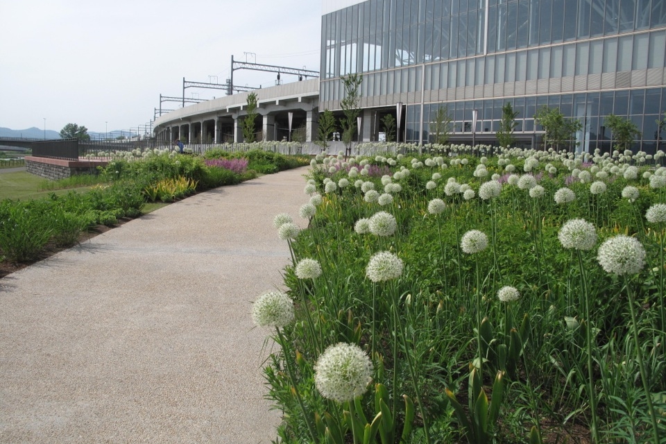 Asahikawa Kitasaito Garden