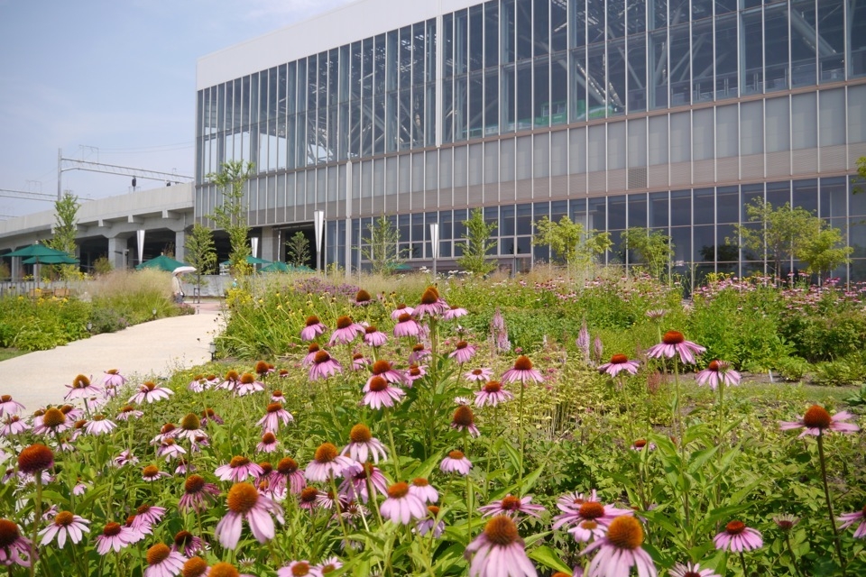 Asahikawa Kitasaito Garden