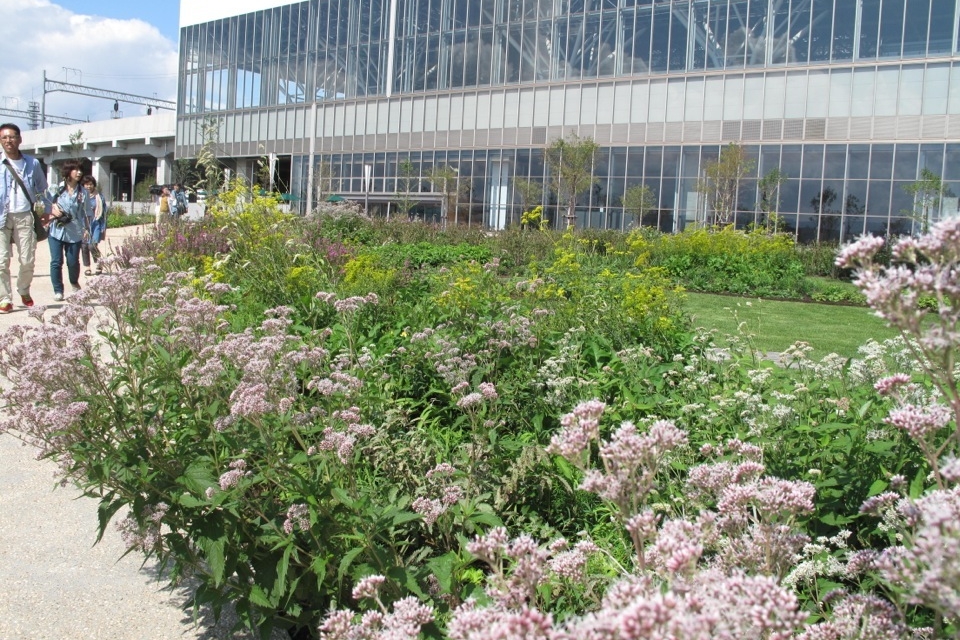 Asahikawa Kitasaito Garden