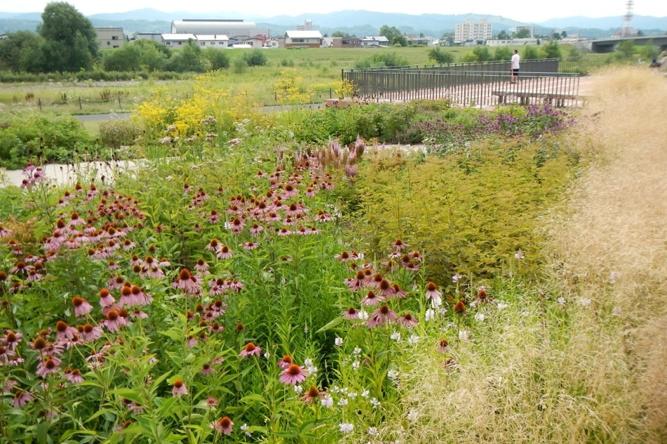 Asahikawa Kitasaito Garden