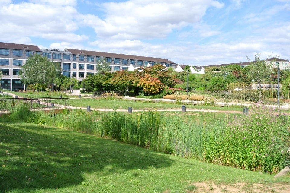 Campus Ever Green