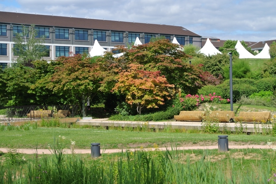 Campus Ever Green