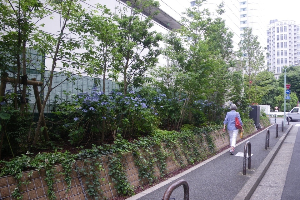 Honda Woods Aoyama
<br>
