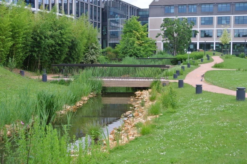 Campus Ever Green