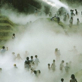 Showa Memorial Park